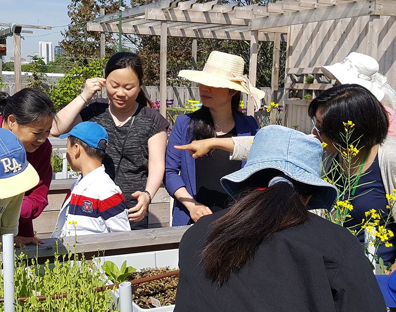 Learning tour with kids, working with gardening skills