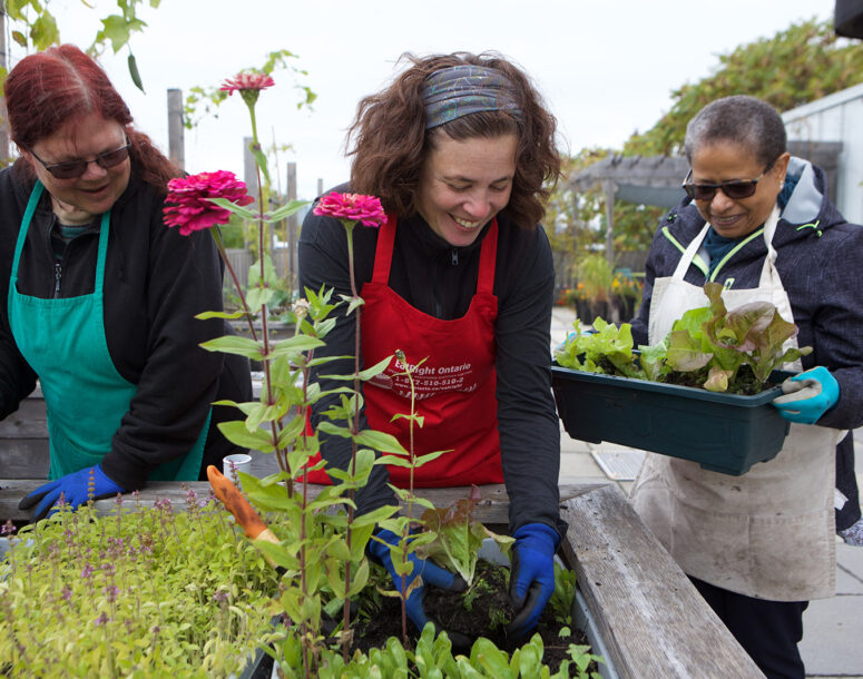 A group of women gardening